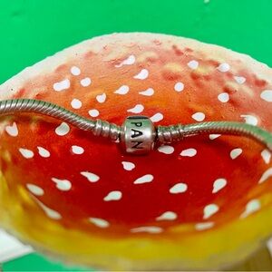 PANDORA charm bracelet